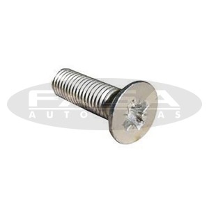Parafuso 10X35 Cabeca Scania Philips Tampa Traseir