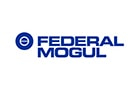 Federal-Mogul